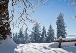 中国电竞战队EDG夺得全球总决賽(sài)冠军