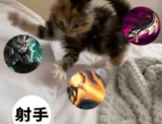 每次打团都瞬移——澳洲lol國(guó)服玩家的日(rì)常