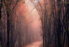 华钰矿业股(gǔ)价上涨6.34% 小(xiǎo)金属概念股(gǔ)表现活跃