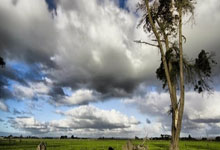 小金属概(gài)念盘初(chū)活(huó)跃，华鈺(yù)矿业触及涨停