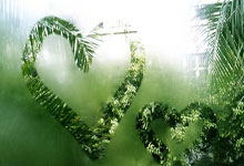 小金属概(gài)念盘初(chū)活(huó)跃，华鈺(yù)矿业触及涨停