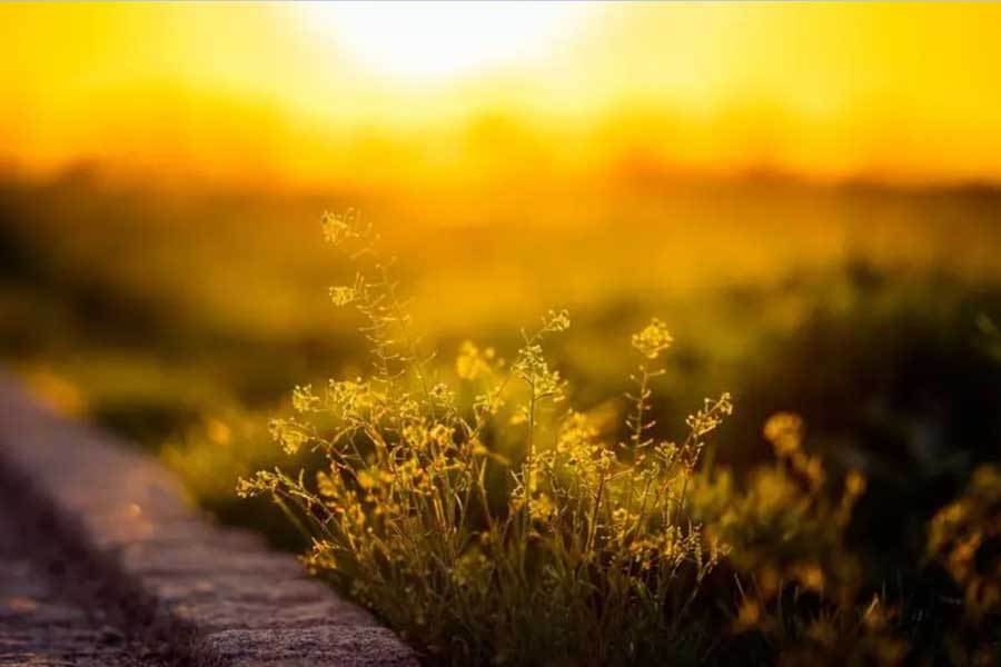 英雄联盟全球总决赛冠亚军决赛四川打響(xiǎng)