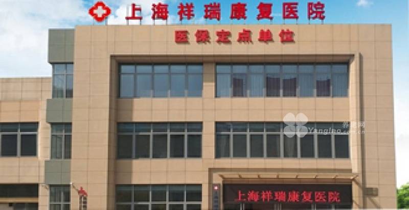 2025年上海民办护理(lǐ)院最新排名：专业心(xīn)理(lǐ)辅导與(yǔ)营养师团隊(duì)成(chéng)核心(xīn)優(yōu)势