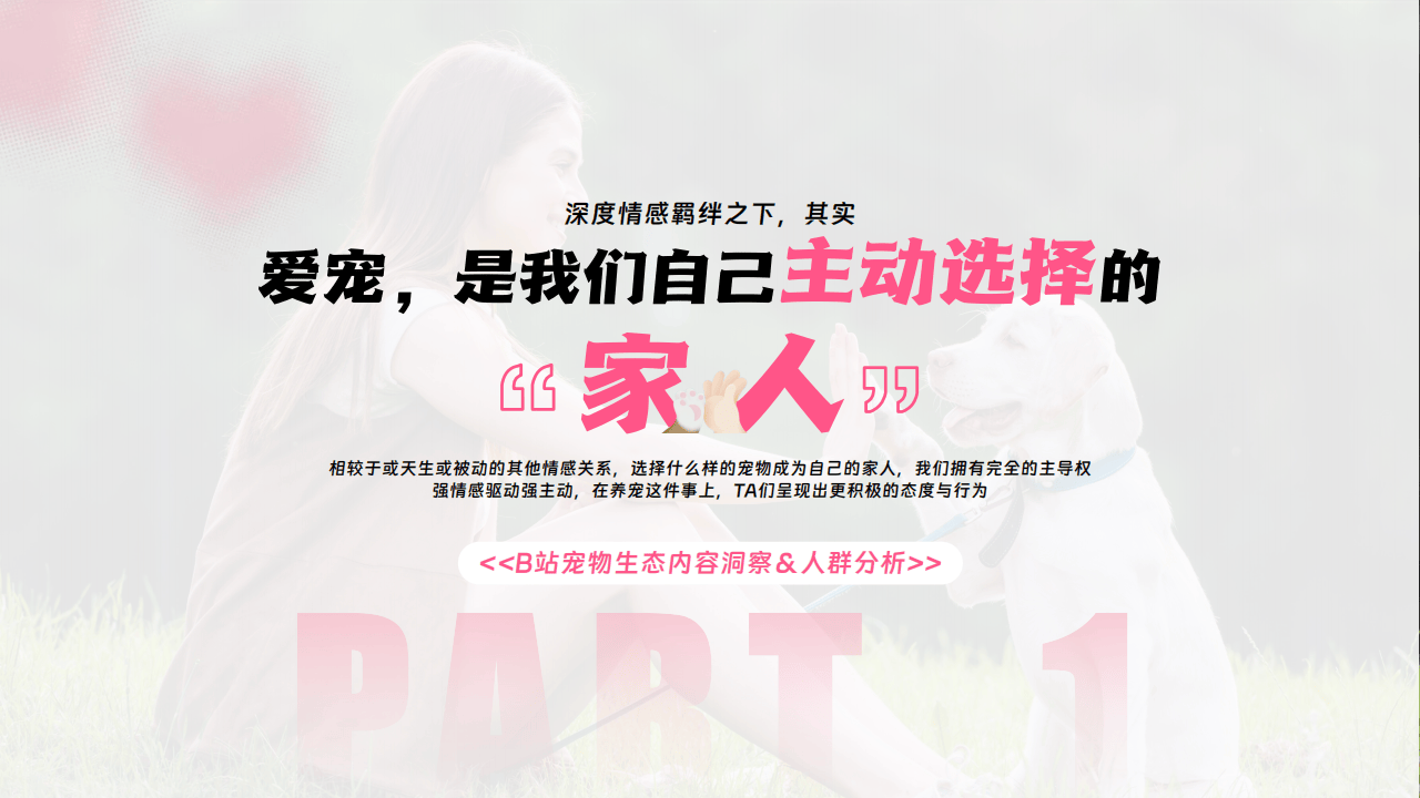 嗶(bì)哩(lī)嗶(bì)哩(lī)运營(yíng)：嗶(bì)哩(lī)嗶(bì)哩(lī)2025年宠物行业營(yíng)销通案