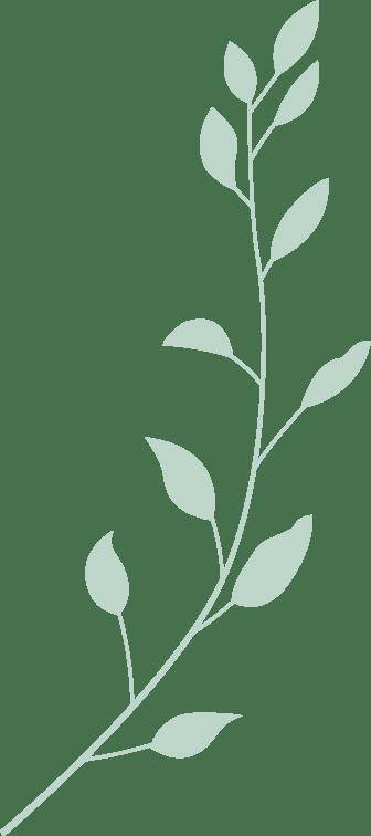 見(jiàn)面会精彩集锦新鲜出爐(lú)！