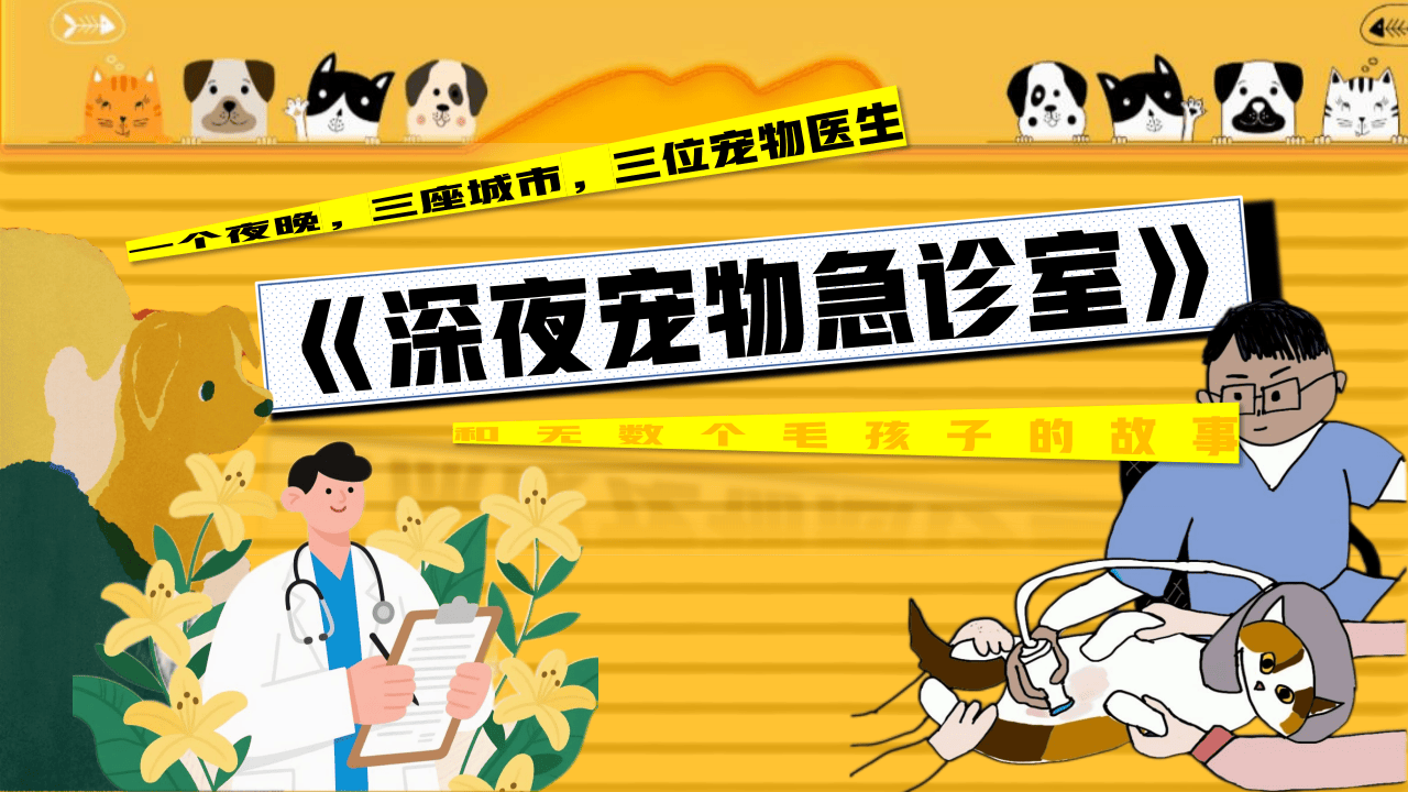 嗶(bì)哩嗶(bì)哩运营：嗶(bì)哩嗶(bì)哩纪录片《深(shēn)夜宠物急诊室》招商方案(1)