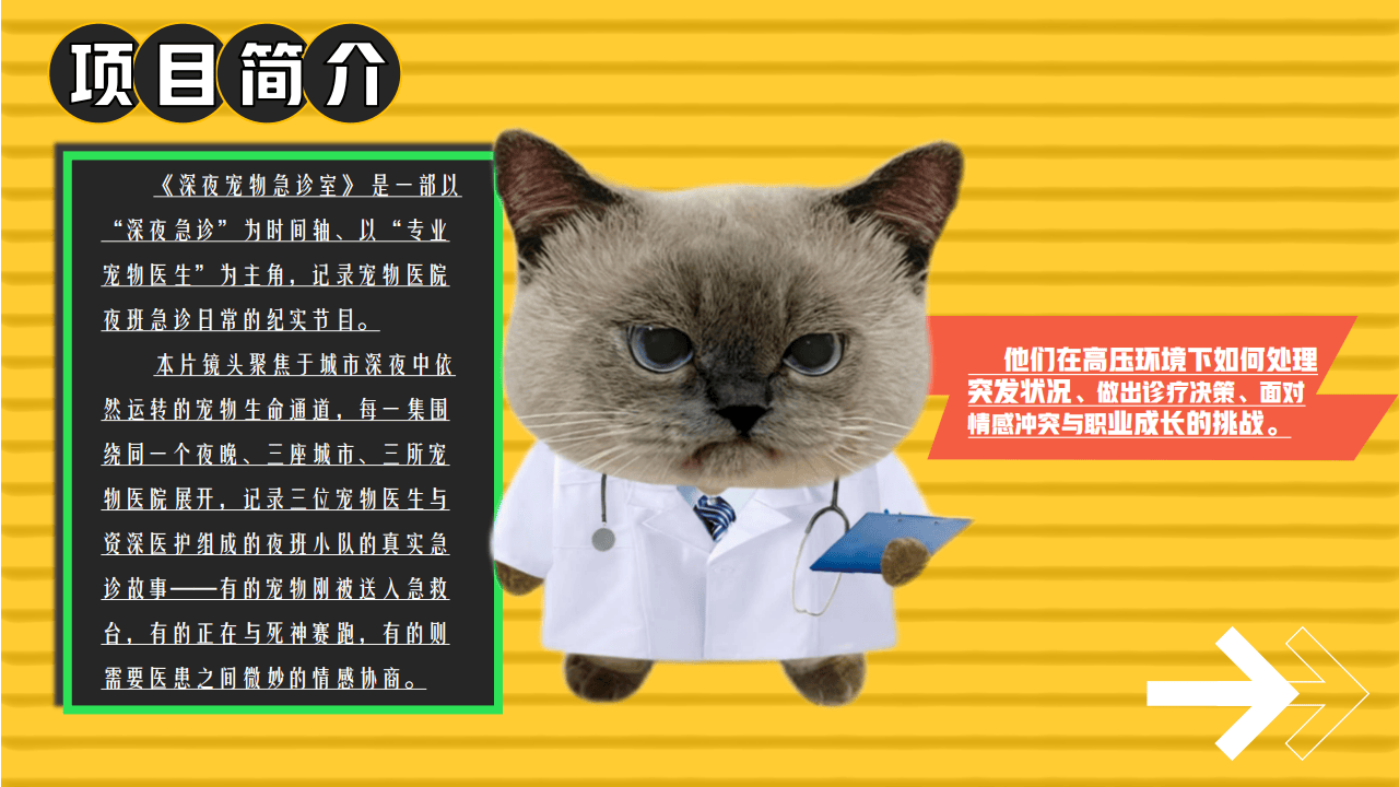 嗶(bì)哩嗶(bì)哩运营：嗶(bì)哩嗶(bì)哩纪录片《深(shēn)夜宠物急诊室》招商方案(1)