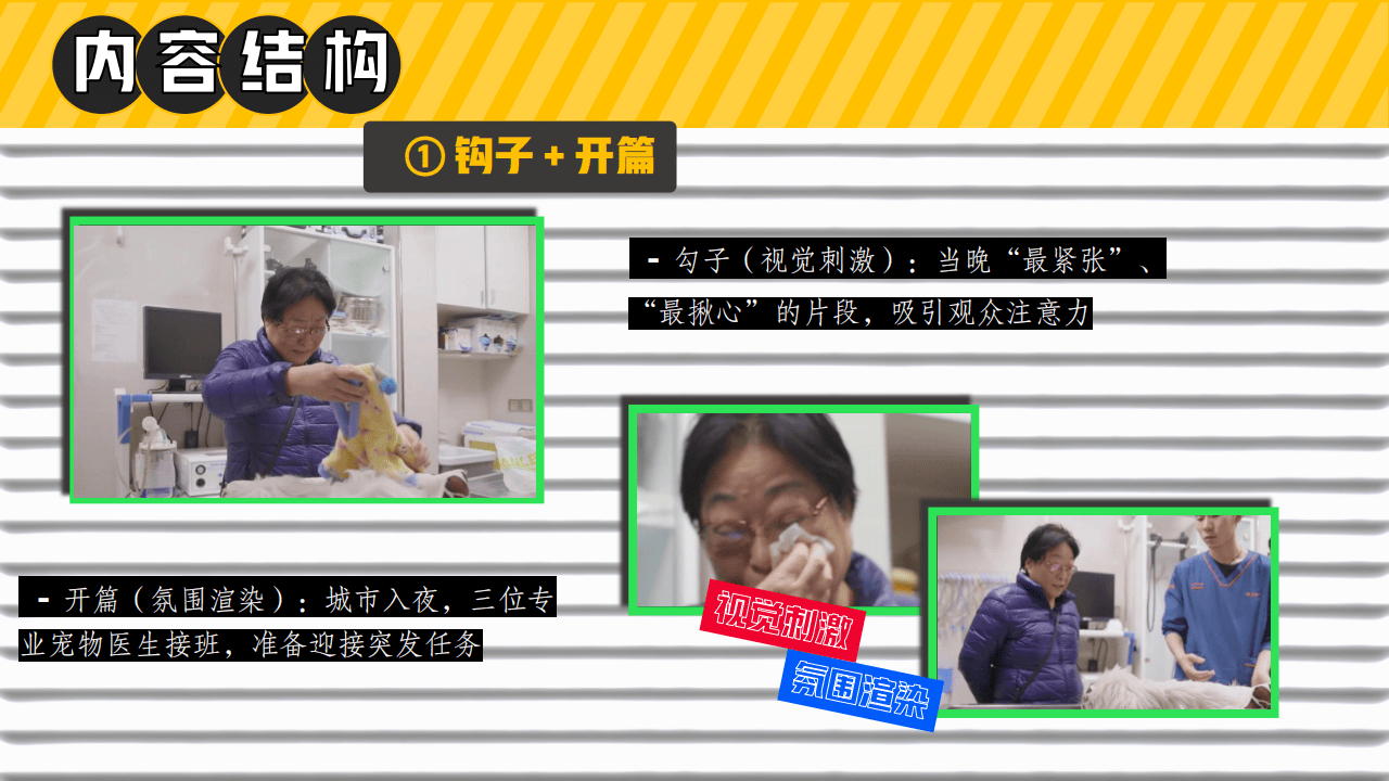 嗶(bì)哩嗶(bì)哩运营：嗶(bì)哩嗶(bì)哩纪录片《深(shēn)夜宠物急诊室》招商方案(1)