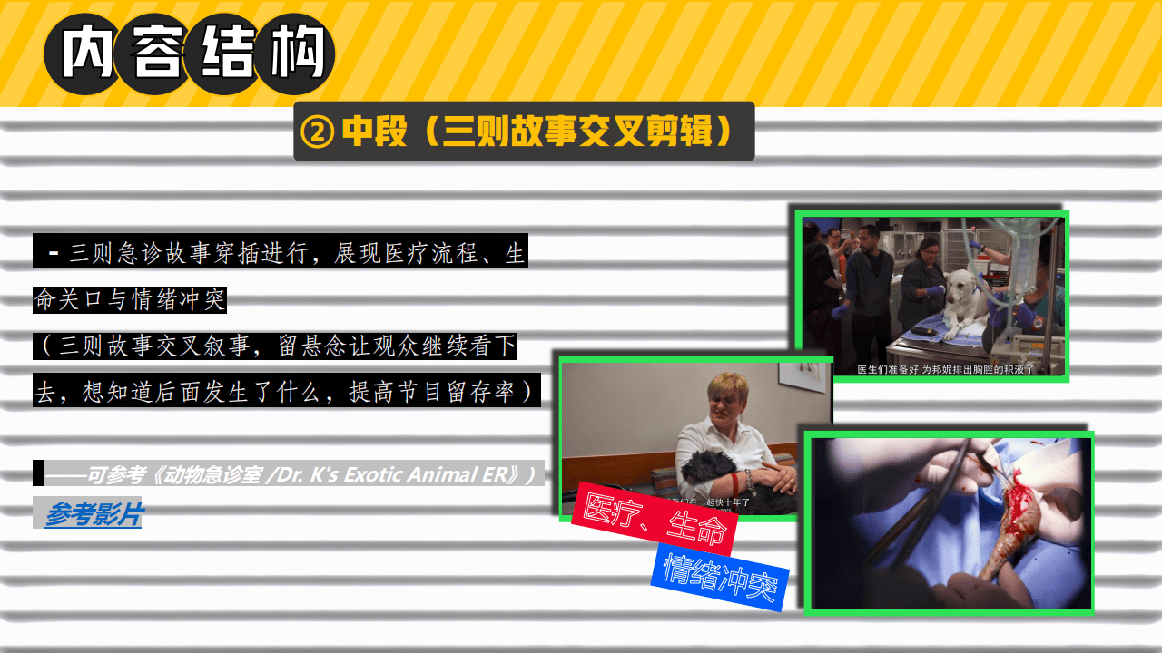 嗶(bì)哩嗶(bì)哩运营：嗶(bì)哩嗶(bì)哩纪录片《深(shēn)夜宠物急诊室》招商方案(1)